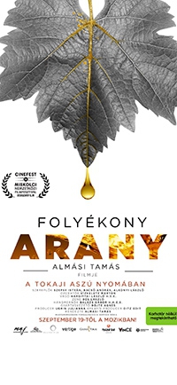 folyekony-arany-masodik.jpg